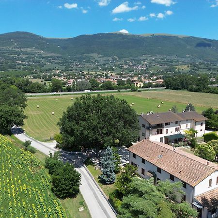 Il Quercione Agriturismo 리보토르토 외부 사진