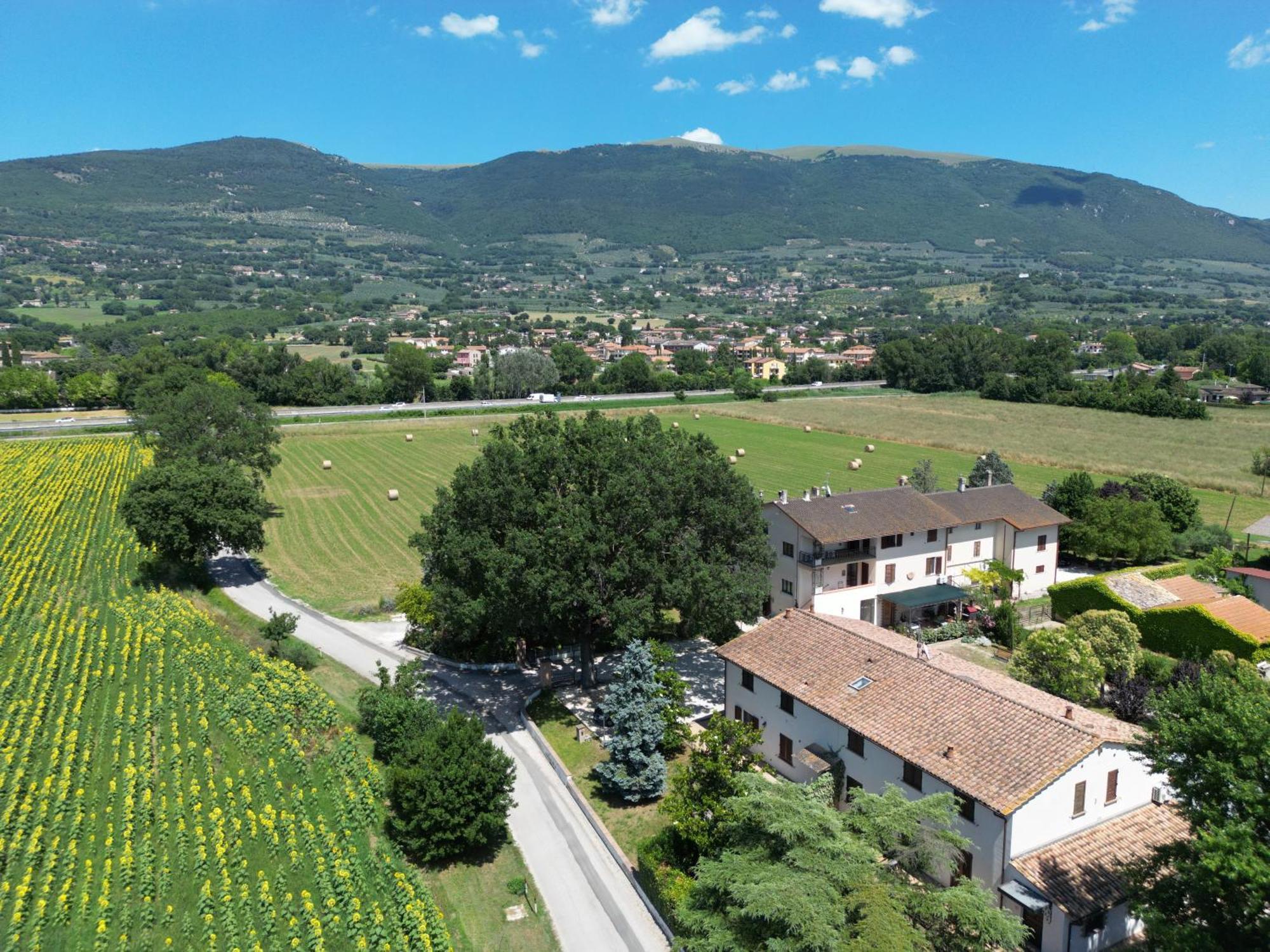 Il Quercione Agriturismo 리보토르토 외부 사진