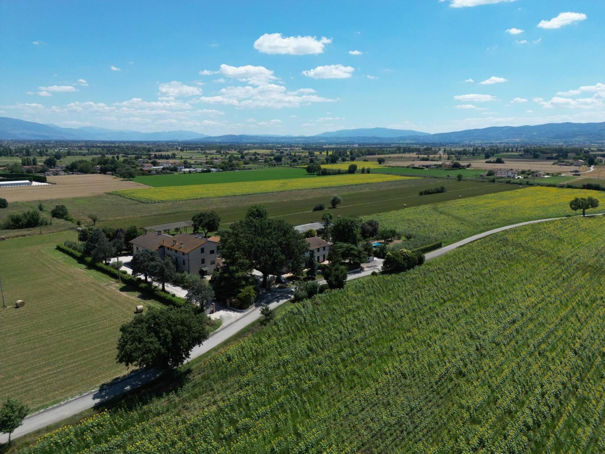 Il Quercione Agriturismo 리보토르토 외부 사진