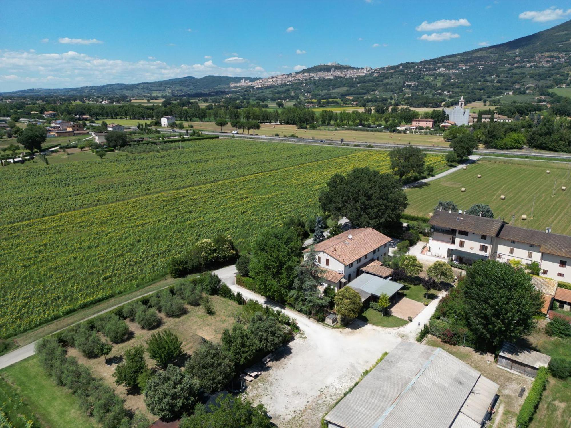 Il Quercione Agriturismo 리보토르토 외부 사진